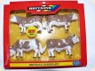 B 42351 Simmental Rinder